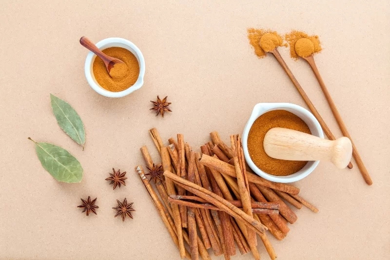 What Are The Top Health Benefits of Using Cinnamon Bark Extract Daily?