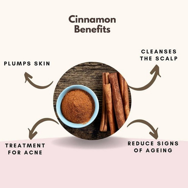 What Are The Top Skincare Benefits of Using Cinnamon Bark Extract?