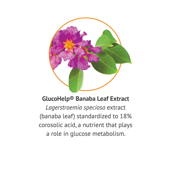 What Are The Health Benefits of GlucoHelp Banaba Leaf Extract