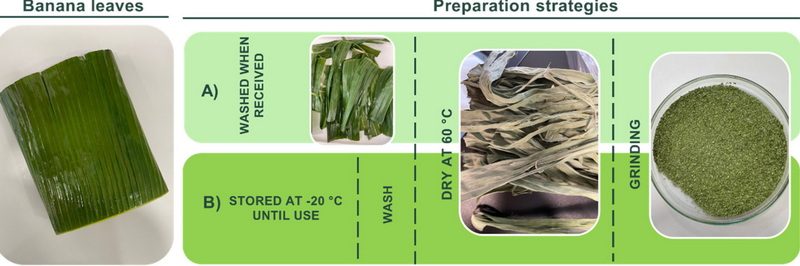 What Role Does Banaba Leaf Extract Play in The Cosmetics Industry