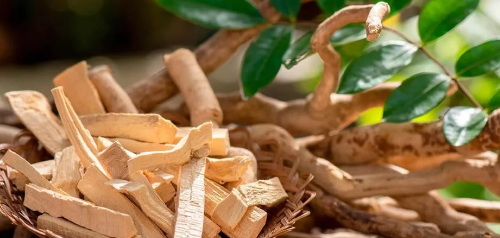 Tongkat Ali Extract Safe_1