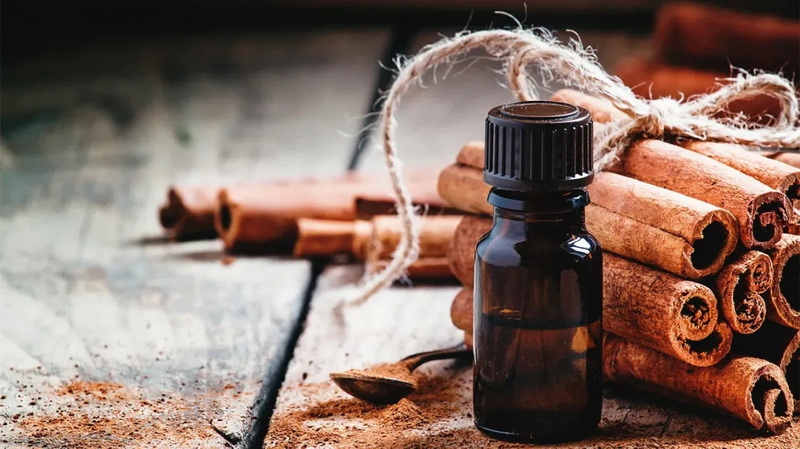 China Cinnamon Bark Extract_2