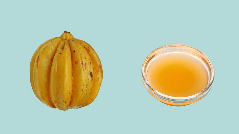 Which Is Better Green Tea Extract Or Garcinia Cambogia