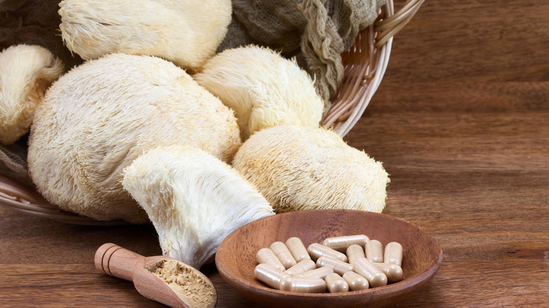 Top 10 Mushroom Extracts Manufacturer in China