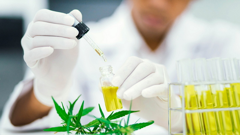 Top Supercritical CO2 Extracts Manufacturers in Portugal