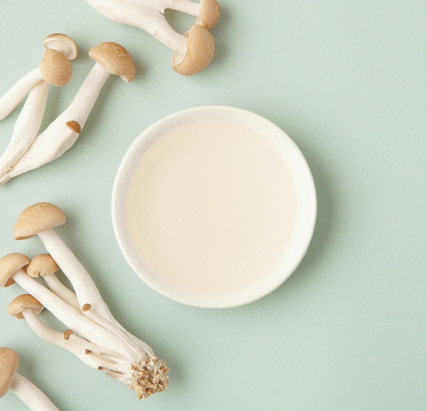 Top Mushroom Extracts Manufacturers and Suppliers in Winnipeg