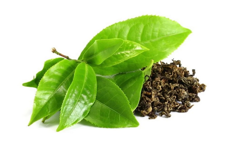 How To Get Extract From Green Tea Leaves?