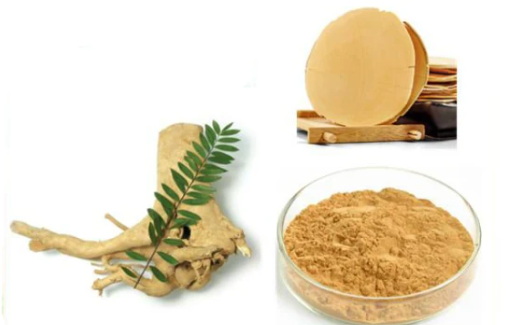 What Are The Benefits of China Tongkat Ali Extract?