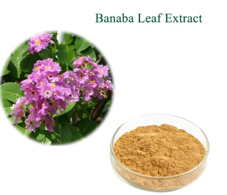 Can You Take Too Much Banaba Leaf Extract
