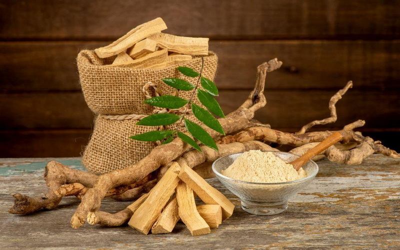 Can Tongkat Ali Extract Improve Male Fertility_1