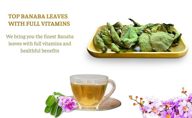 What Are The Top Health Benefits Of Banaba Leaf Extract