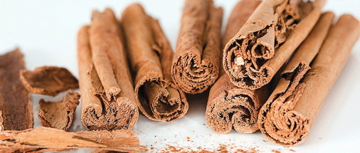 How Effective Are Cinnamon Bark Extract Tablets for Insulin Sensitivity?
