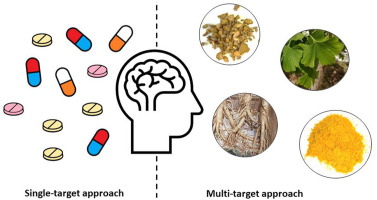 Is Green Tea L-Theanine 60% Better Than Rhodiola Rosea for Mental Performance?