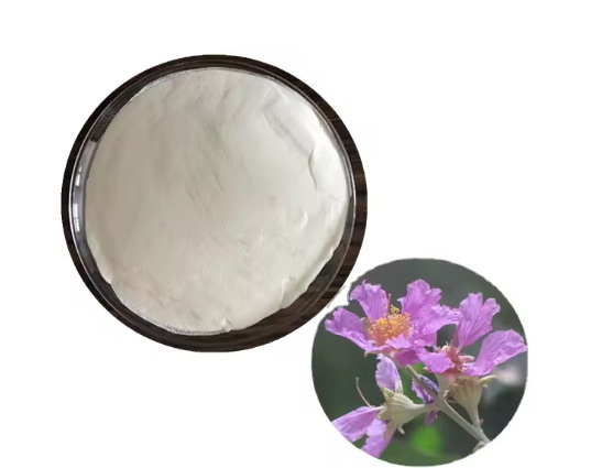 How Does Custom Banaba Leaf Extract Support Blood Sugar Control?