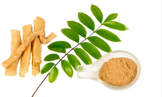 What Makes Top Tongkat Ali Extract Makers Stand Out From The Competition?