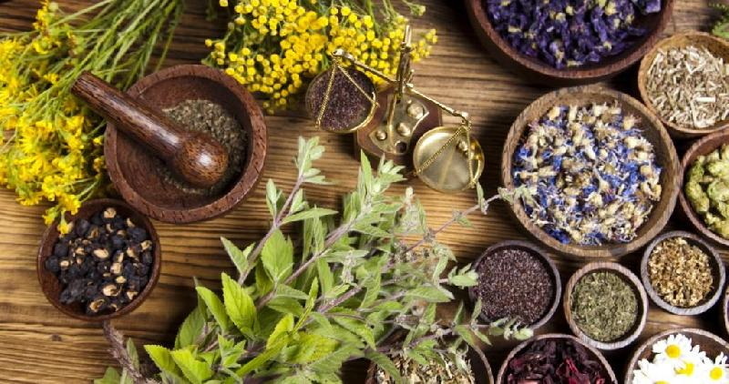 Top Organic Extracts Manufacturers and Suppliers in Germany