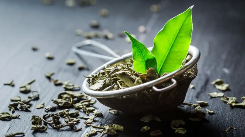 Top Green Tea Extracts Manufacturers and Suppliers in Toronto