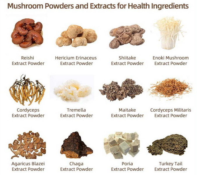 Mushroom Extracts