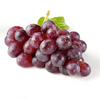 Grape Seed Extract