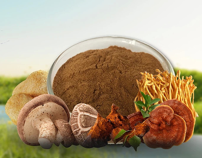 Are OEM Mushroom Extracts Suitable For Capsules Or Drinks?