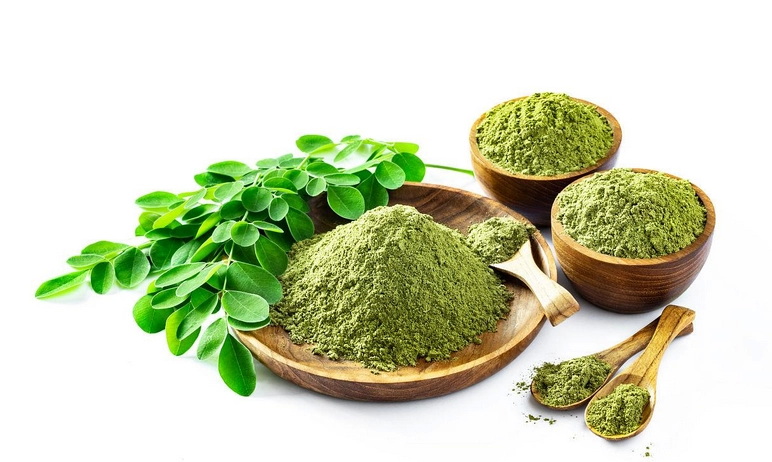 China Moringa Powder