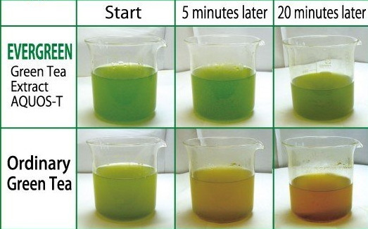 Does Shakeology Have Green Tea Extract?