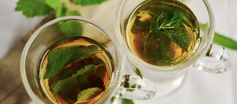 Is Green Tea Extract Bad for Liver?