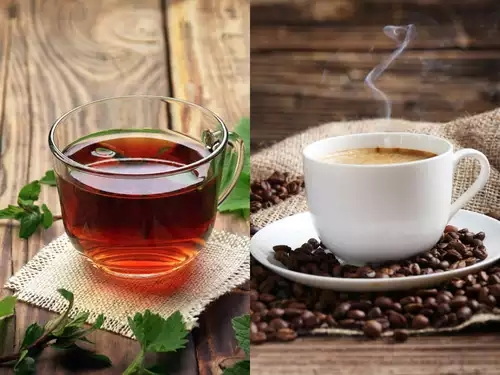 Caffeine and Green Tea Extract_05