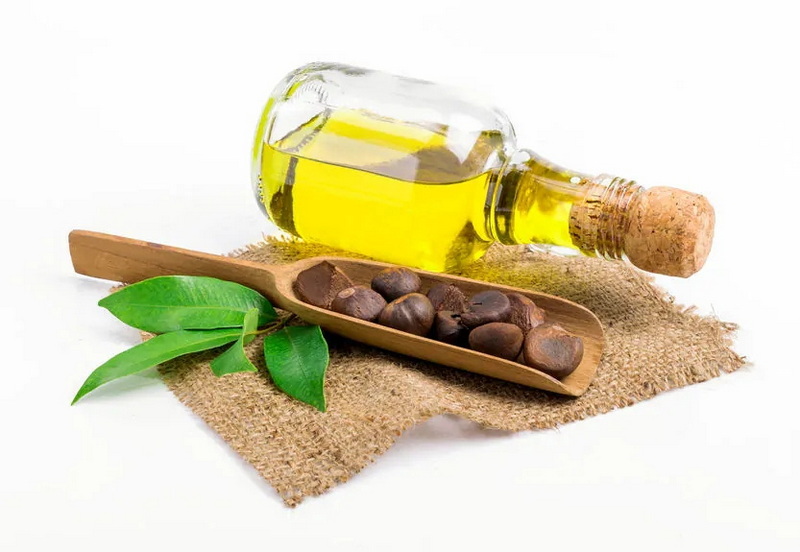 Green Tea Seed Extract