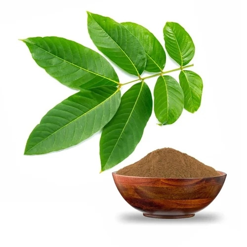 what does banaba leaf extract do_1