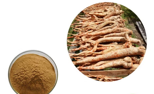 China Tongkat Ali Extract_2