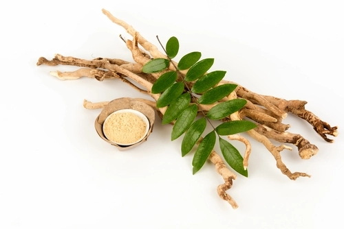 Can Odm Tongkat Ali Extract Improve Your Testosterone Levels