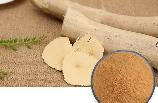 What Are The Benefits of OEM Tongkat Ali Extract