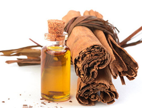 Cinnamon Bark Oil_2