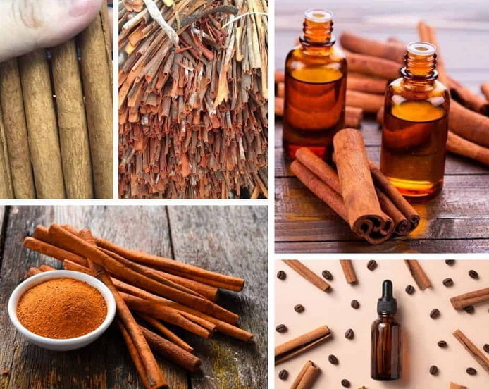 What Are The Leading Cinnamon Bark Extract Manufacturing Companies in The Market