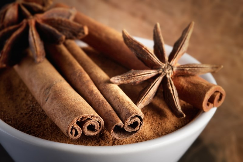 What Are The Best Gaia Cinnamon Bark Extract Suppliers Online