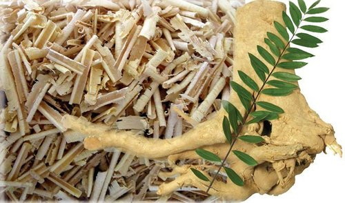What Are The Benefits of Private Label Tongkat Ali Extract?