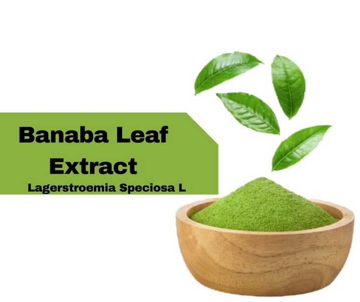 What Are The Benefits of Banaba Leaf Extract?