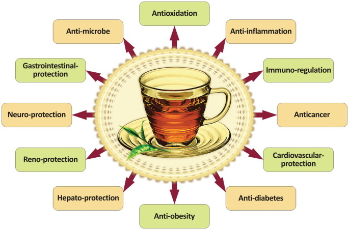 Is Quercetin in Green Tea Extract