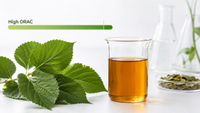 //imrorwxhlqrnlj5q.ldycdn.com/cloud/piBpqKoiliSRqlmmnnrpjm/Mulberry-Leaf-ORAC-Focus.jpg