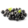 Black Currant Extract