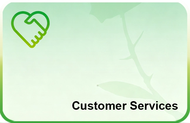 Customer Services