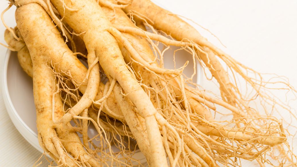 Ginseng Extract