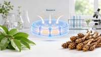 //imrorwxhlqrnlj5q.ldycdn.com/cloud/pjBpqKoiliSRqlnljinrjq/Banaba-And-Cistanche-Insulin-Focus.jpg