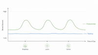 //imrorwxhlqrnlj5q.ldycdn.com/cloud/pjBpqKoiliSRqlopqrnijp/Fasting-And-Postprandial-Glucose-Curve.jpg