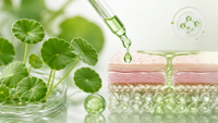 //imrorwxhlqrnlj5q.ldycdn.com/cloud/pkBpqKoiliSRqljirqojjq/Centella-Asiatica-Skin-Repair-Concept.jpg