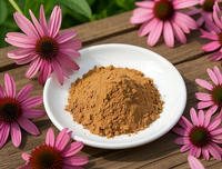 //imrorwxhlqrnlj5q.ldycdn.com/cloud/pkBpqKoiliSRqllrqnlpjp/Echinacea-Extract-Manufacturer.jpg