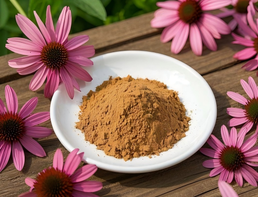 Brazil’s Best-Selling Botanical Extracts and Market Demand Trends