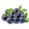 Bilberry Extract