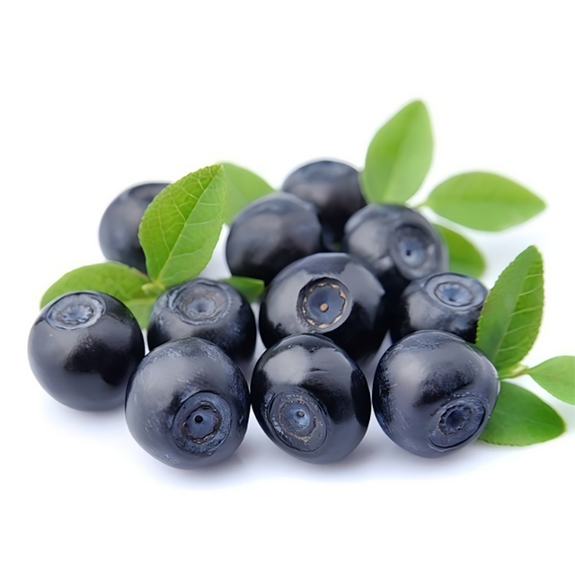 Bilberry Extract